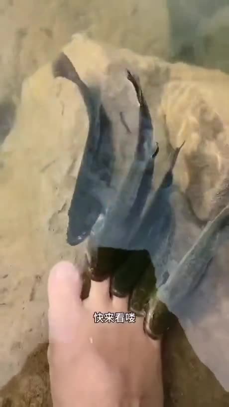 On pense la même chose hein