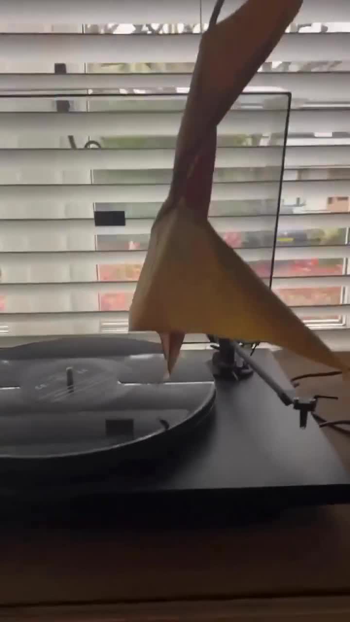 On copie toujours la nature