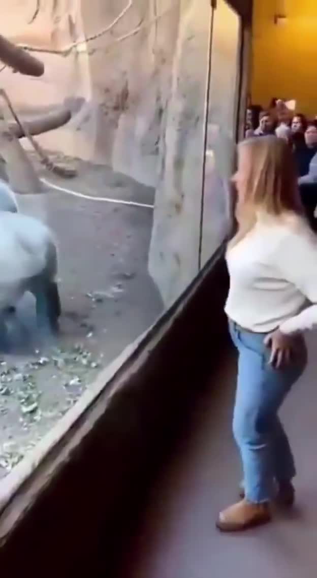 Attention c'est un peu plus grand qu'une pièce de 2€ Cerise