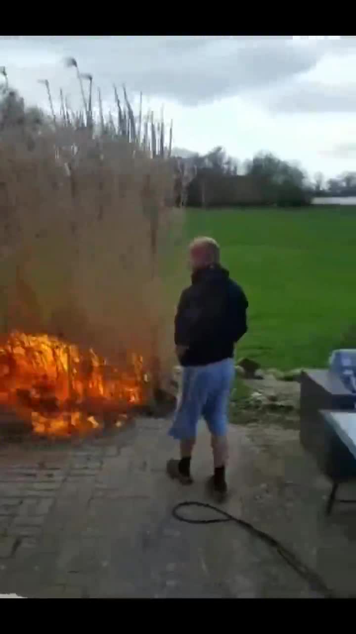 Tu vois chérie, je t'avais dit que ma méthode serait la plus efficace pour se débarrasser de cet arbuste !