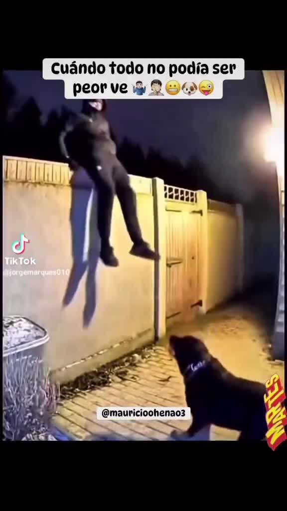 Viens ici, salope ! Que je te bouffe le cul...