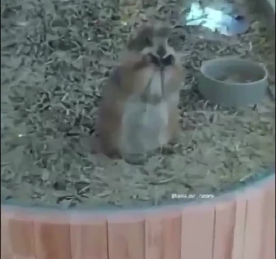 Ce souar c'est les ouacances