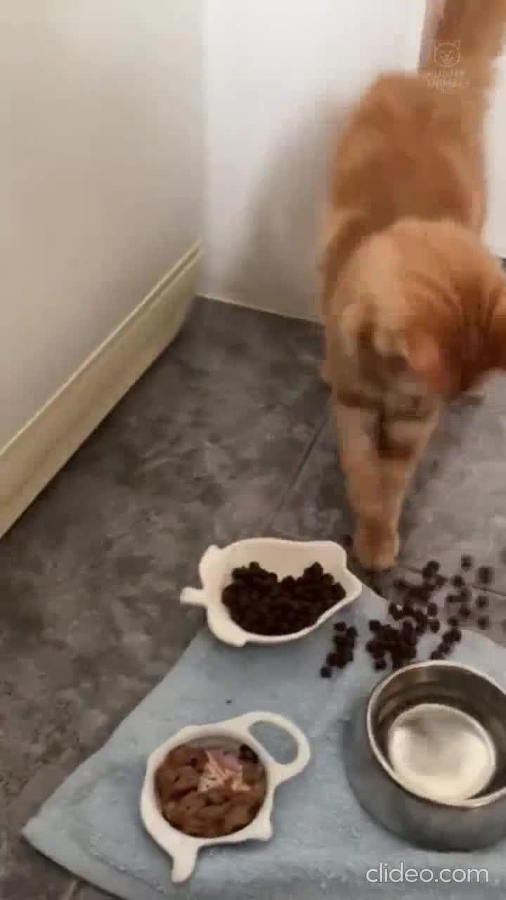 Des pains dans la gueule je ne vois que ça