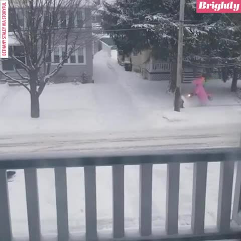 Plus jamais la bûche au peyotl