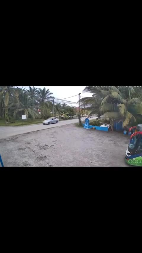 Epreuve de plongeon, note technique: 9.5/10