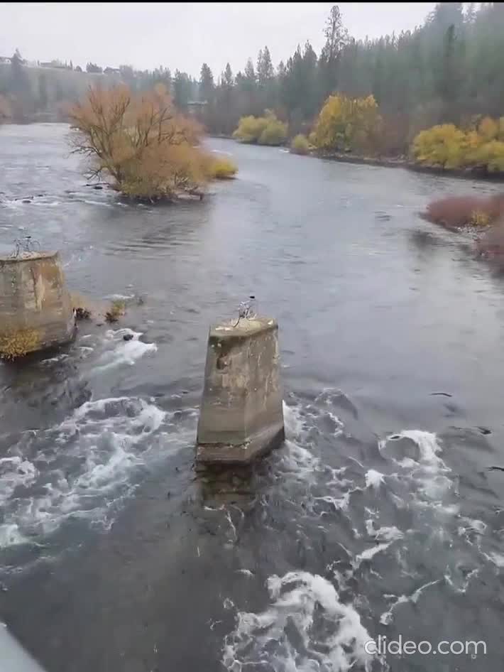 Hey ! You can't park there !