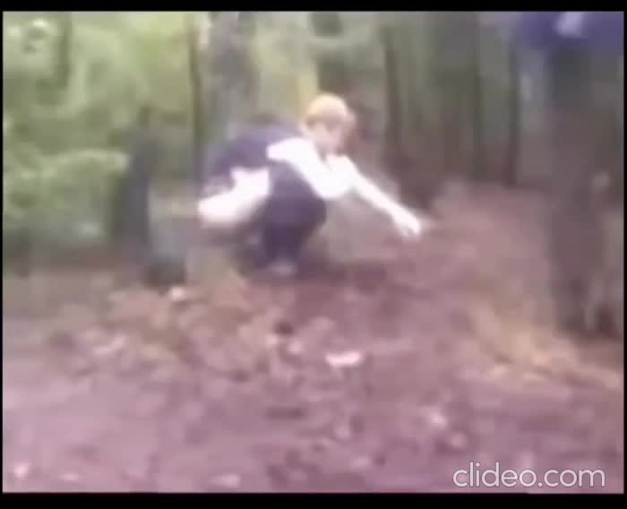 Si vous réveillonnez en forêt ce soir, méfiez vous.