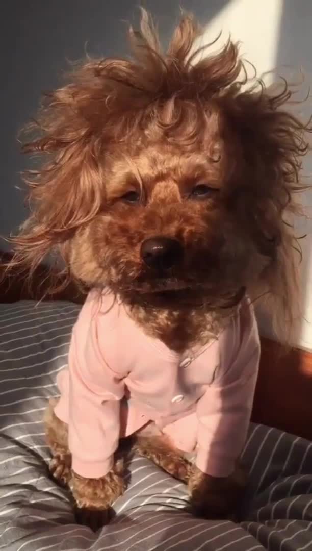 Me suis levé trop tôt