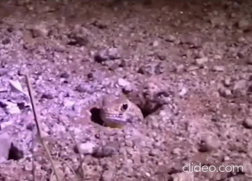 Moi, quand une idée machiavélique me traverse l'esprit.