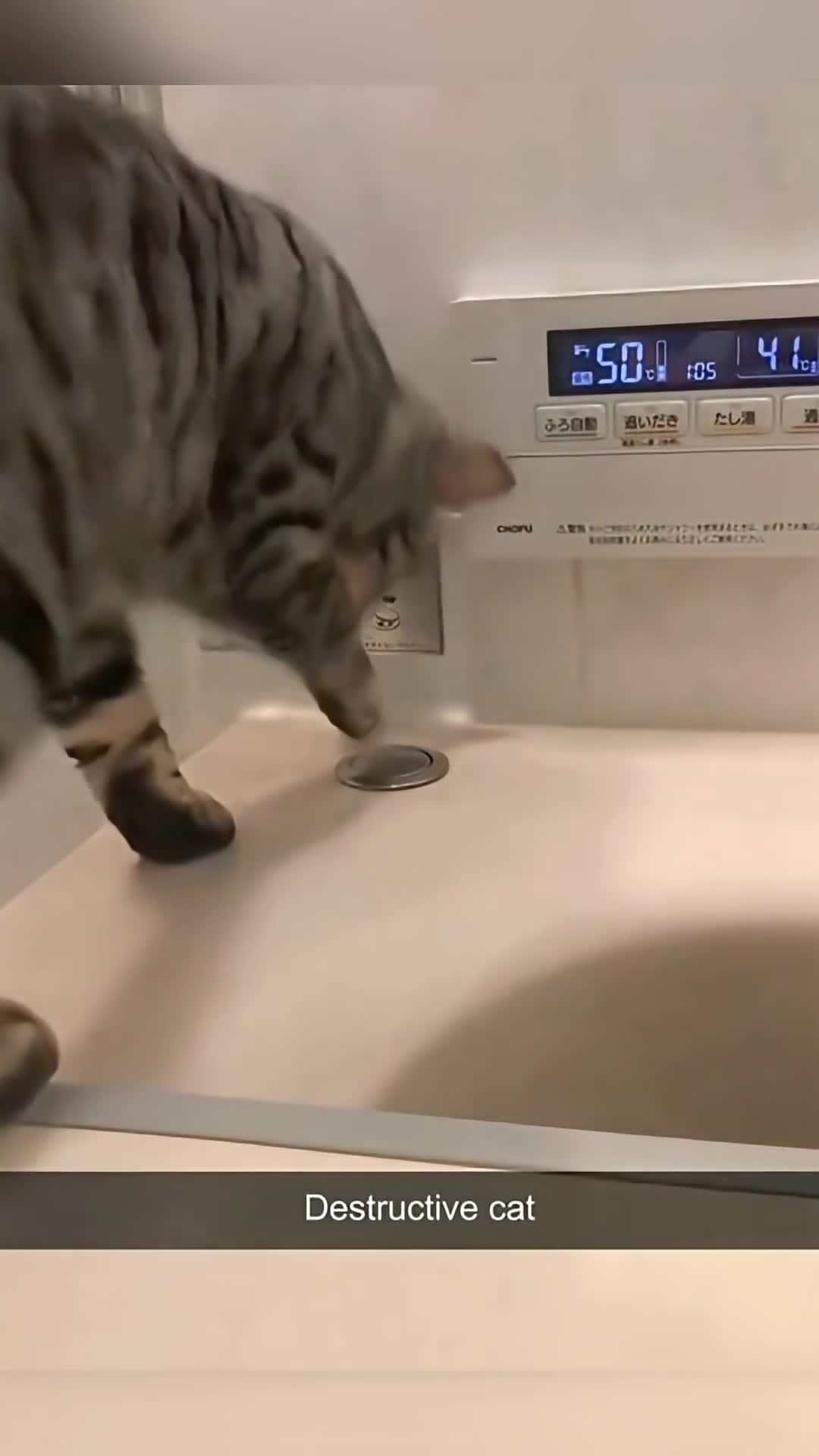 Voilà pourquoi ce groupe existe...