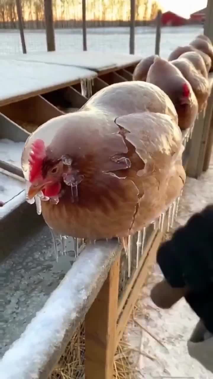 Et sinon, chez vous, il fait froid comment ?