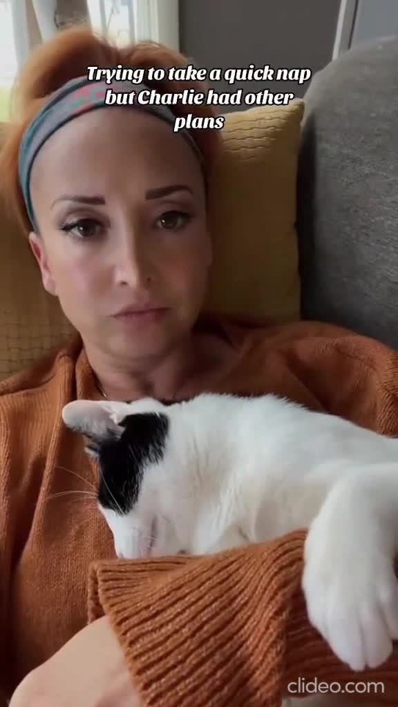 Qu'est-ce à dire que ceci ?