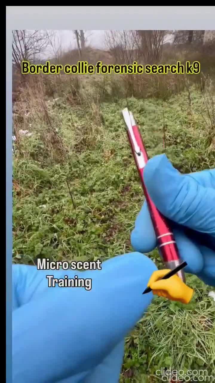 Entrainement de chien renifleur.