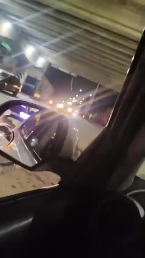 Nid de Ptérodactyle.