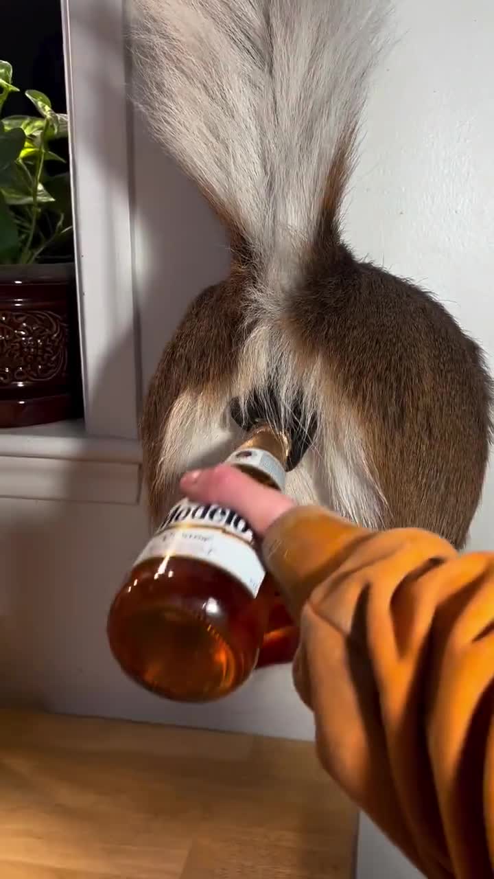 Je vais te décapsuler le fion ma biche