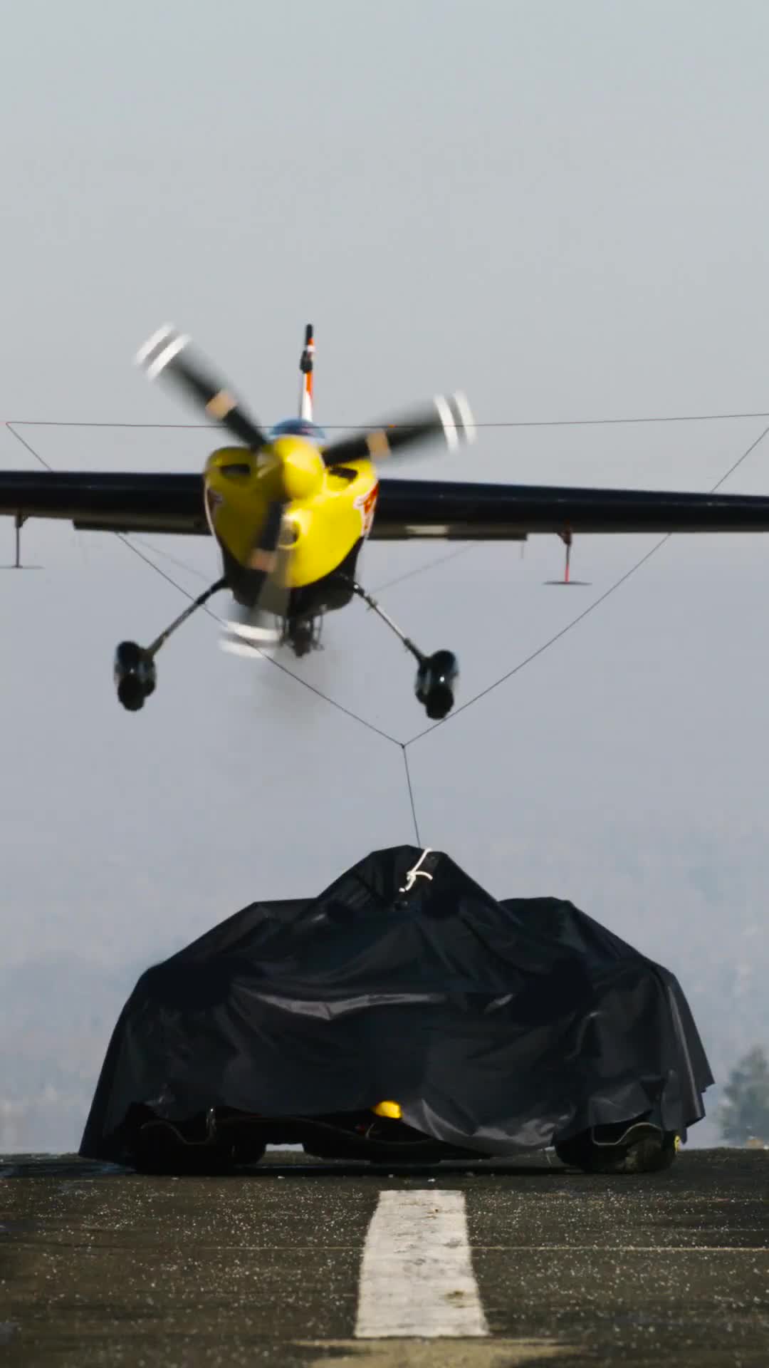 Reveal Livrée Red Bull 2026 (lumière naturelle)