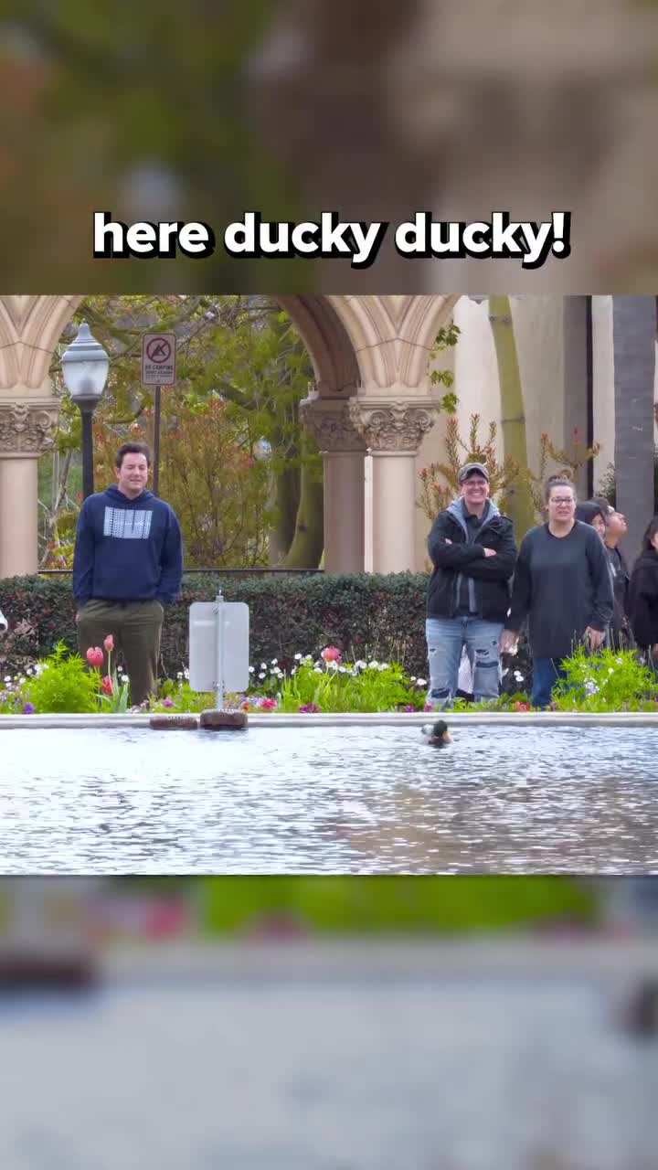 Des fois ils aiment bien.