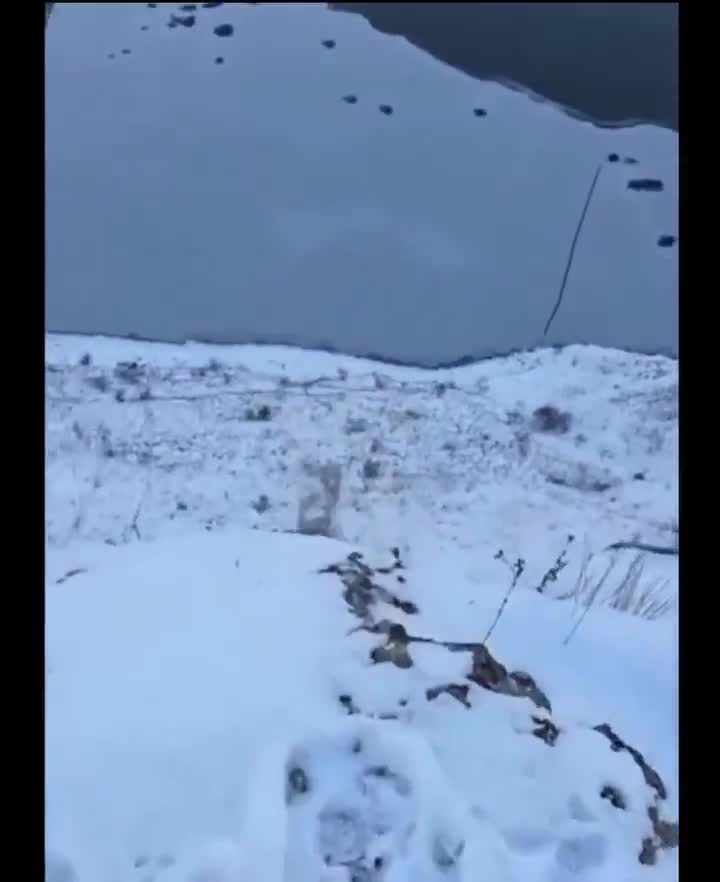 Le mec a coupé le lac en deux 0_o