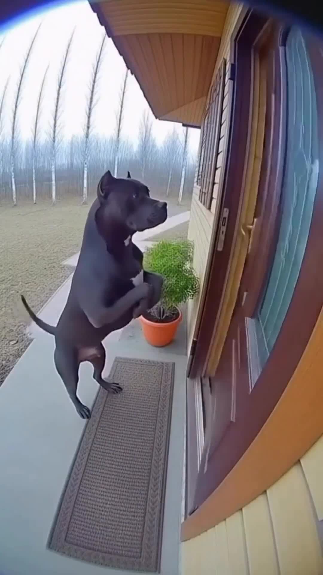 Quand l'IA sonne à ta porte