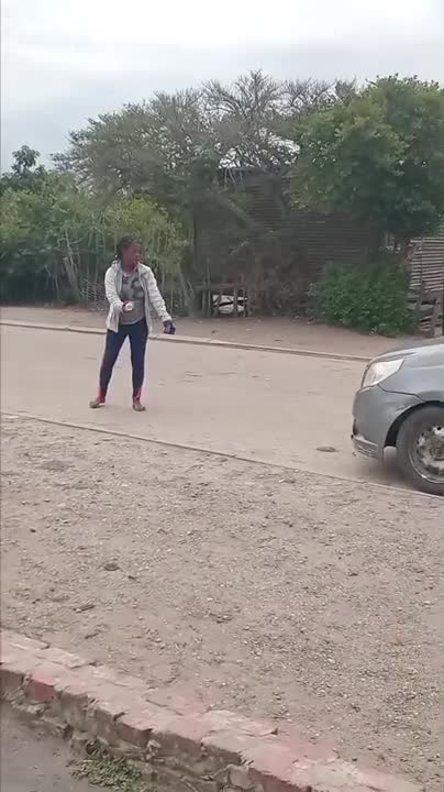 nouveau type de casse vitesse