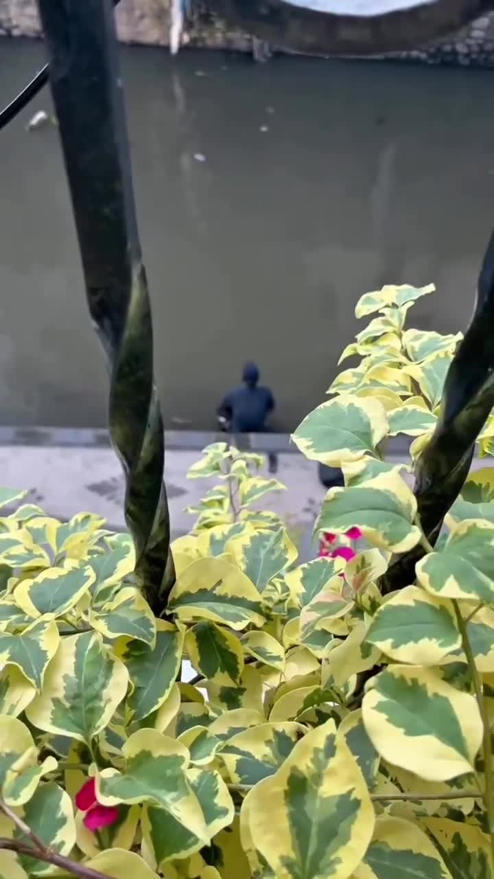 Allez, va, pars vivre ta vie maintenant… rends-nous fiers !