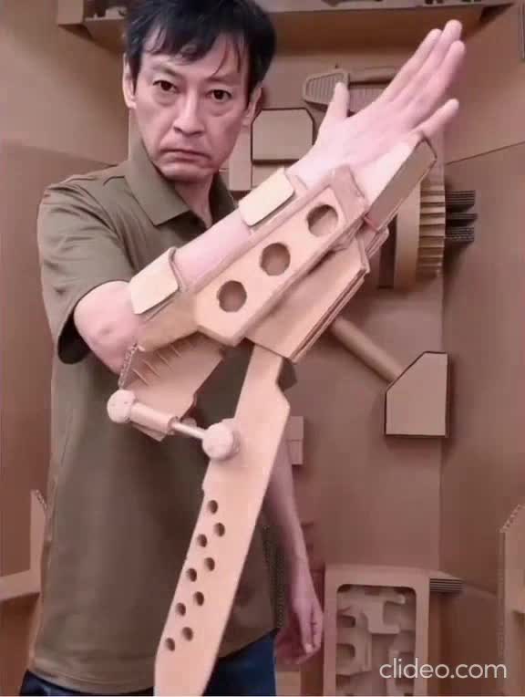 Parce que le Japon...