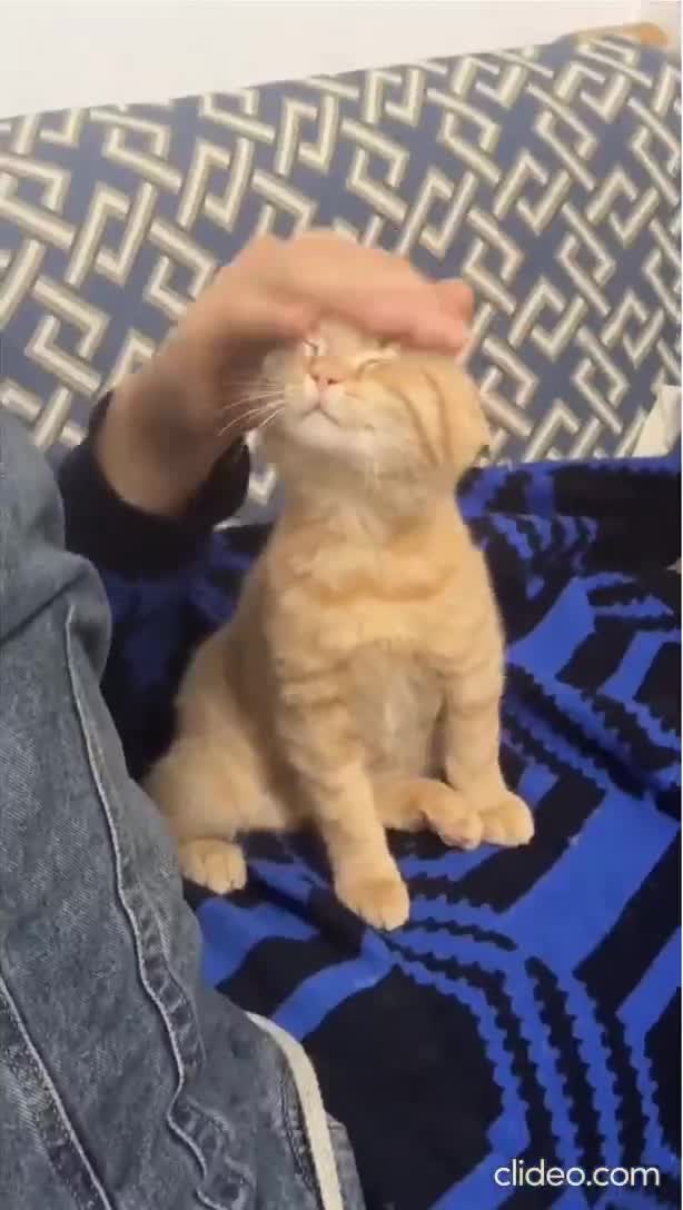 T'es mignon... mais t'es un tout ptit breton !