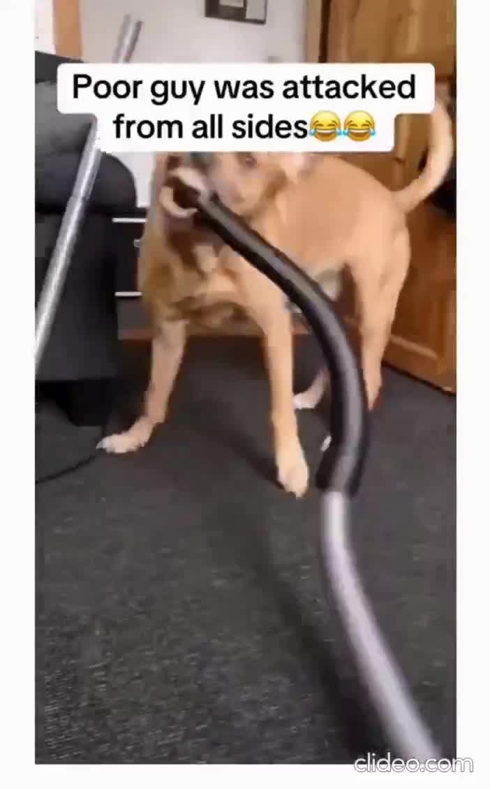 j'ai déjà dit qu'on ne me dérange pas quand je nettoie ma chambre !!!