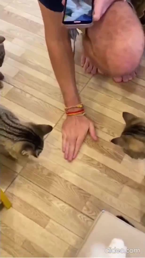 Prenez en deux, ils seront plus heureux, qu'ils disaient !.....