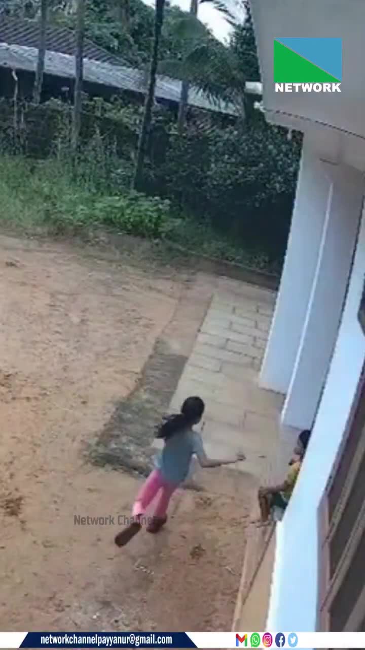 Il voulait juste un snack !