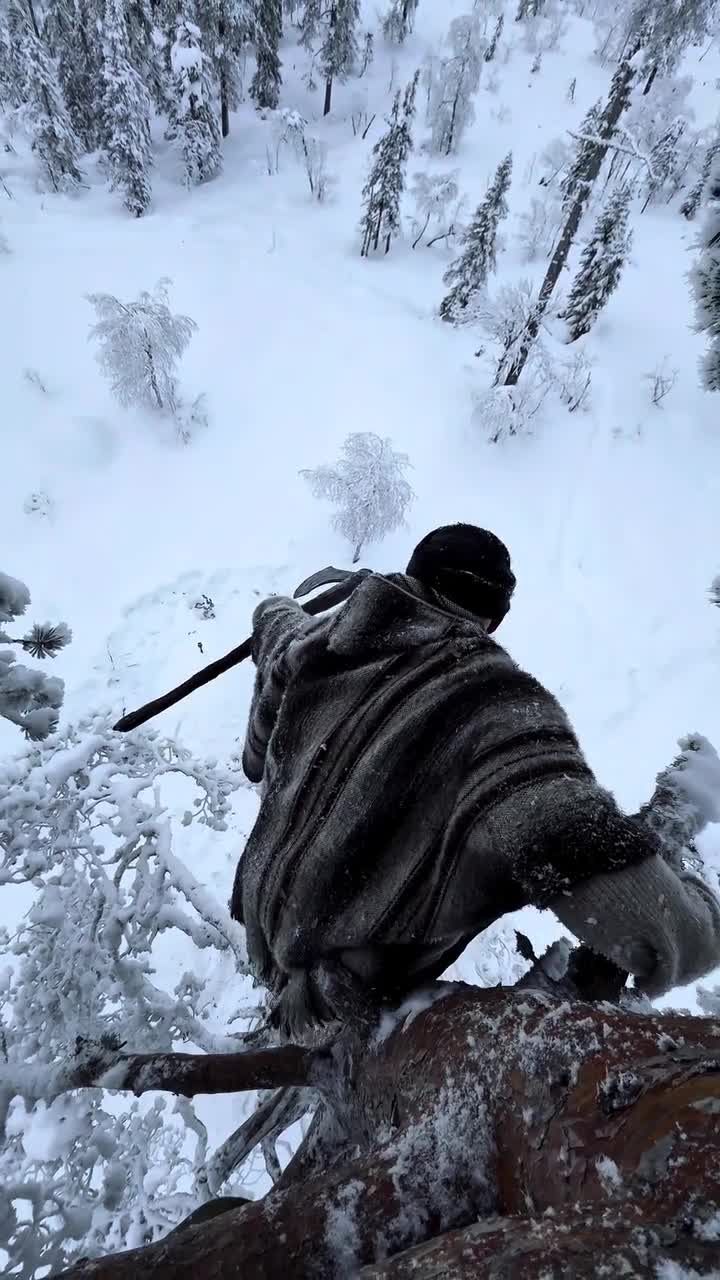 Assassin's Creed Valhalla