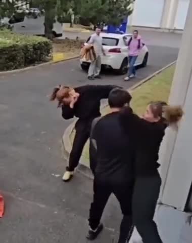 Quand les chouals se battent