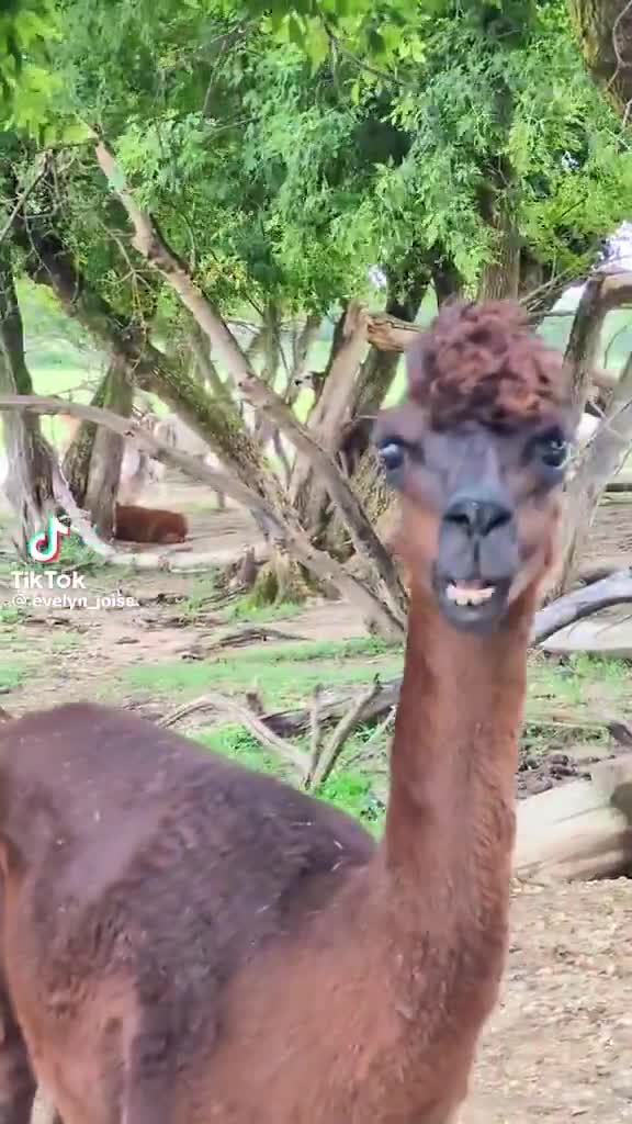 Sûrement en Somalie