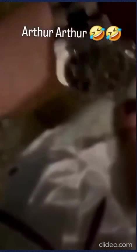 Arthur s'est transformé en rocher.