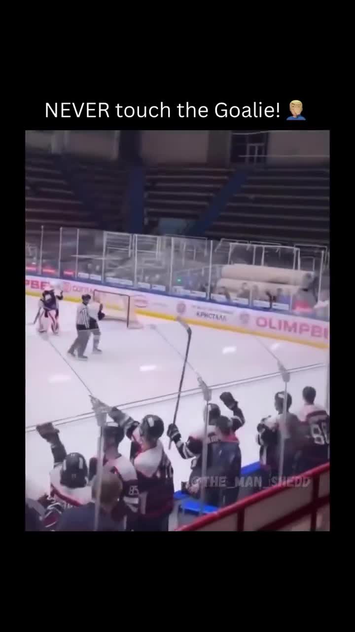 Hockey sur glace, règle n°1: ne jamais toucher le gardien.