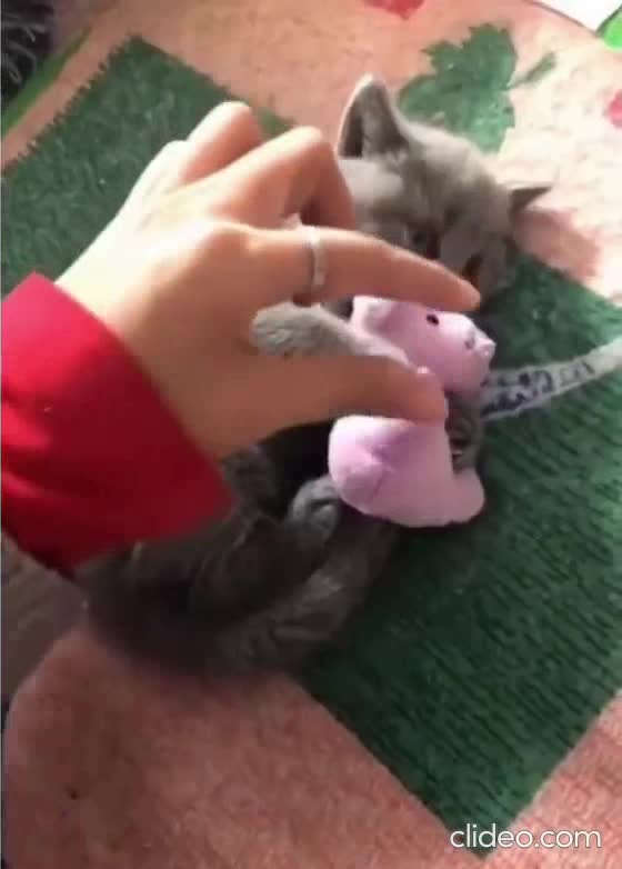 Il se passe quoi dans leurs têtes en fait ?...