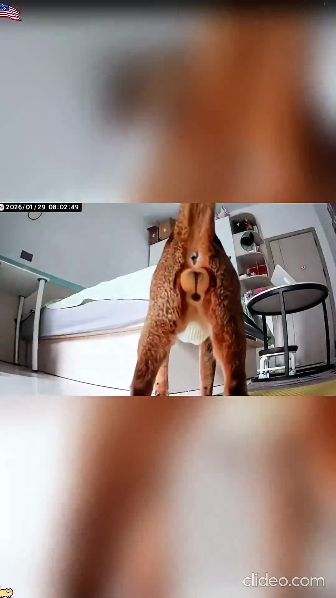 Tout pour la fame, ces fumiers !