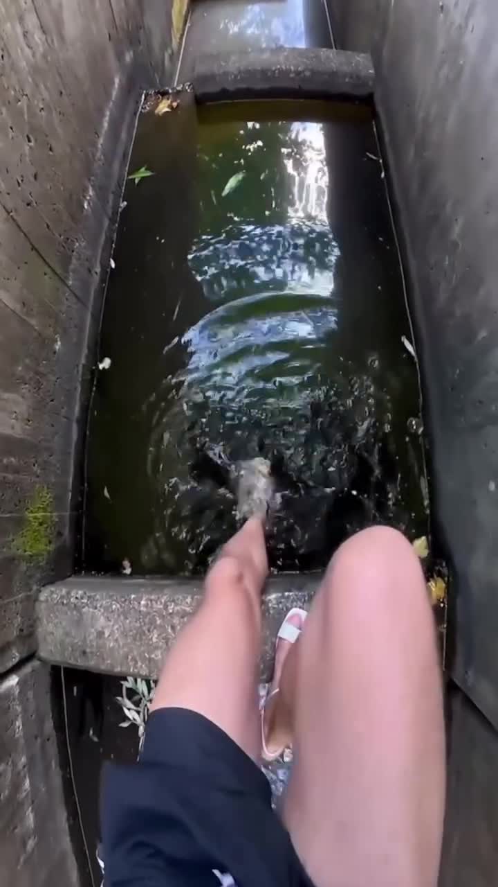 Vivelle Dop, fixation béton !