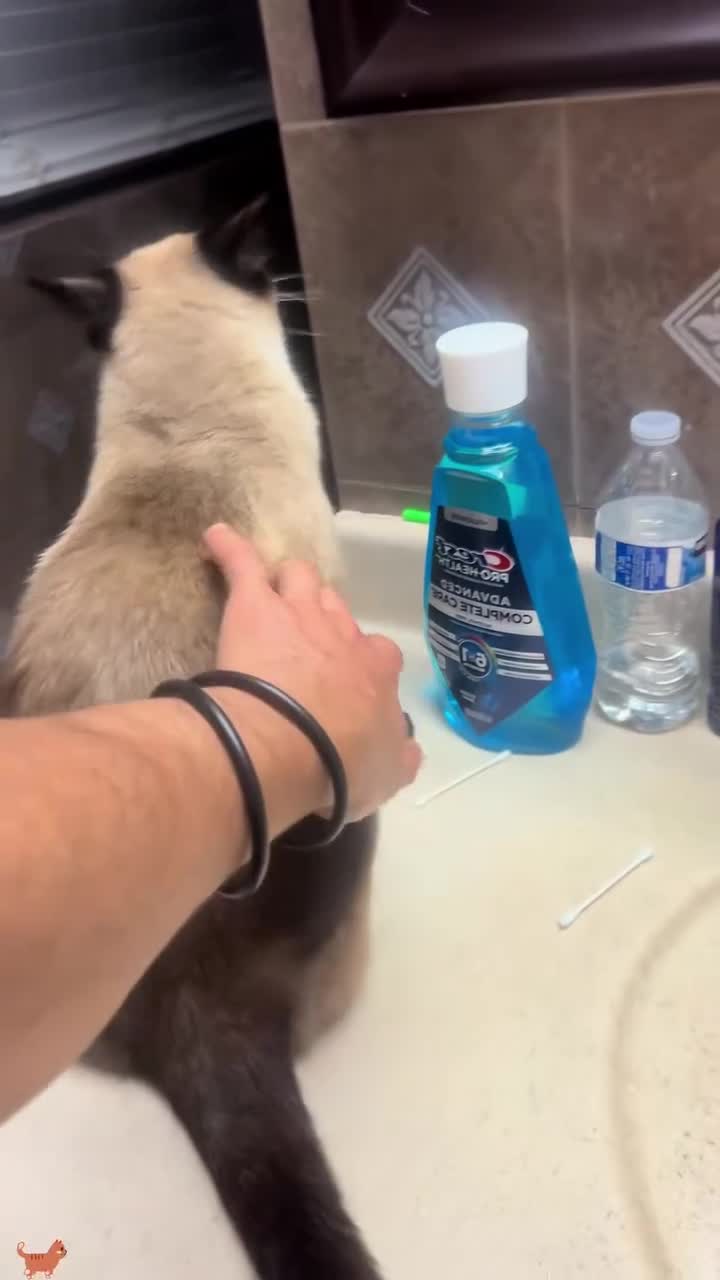 Chui pas ton pote mon gars.