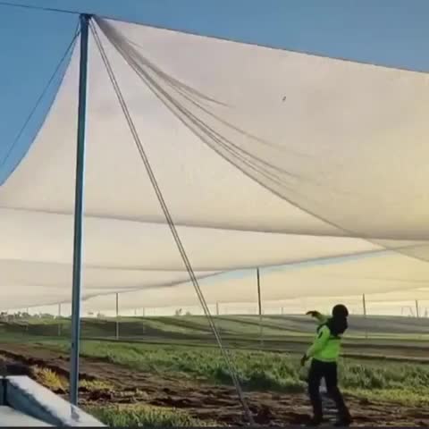 Arrosage avec la rosée collectée la nuit