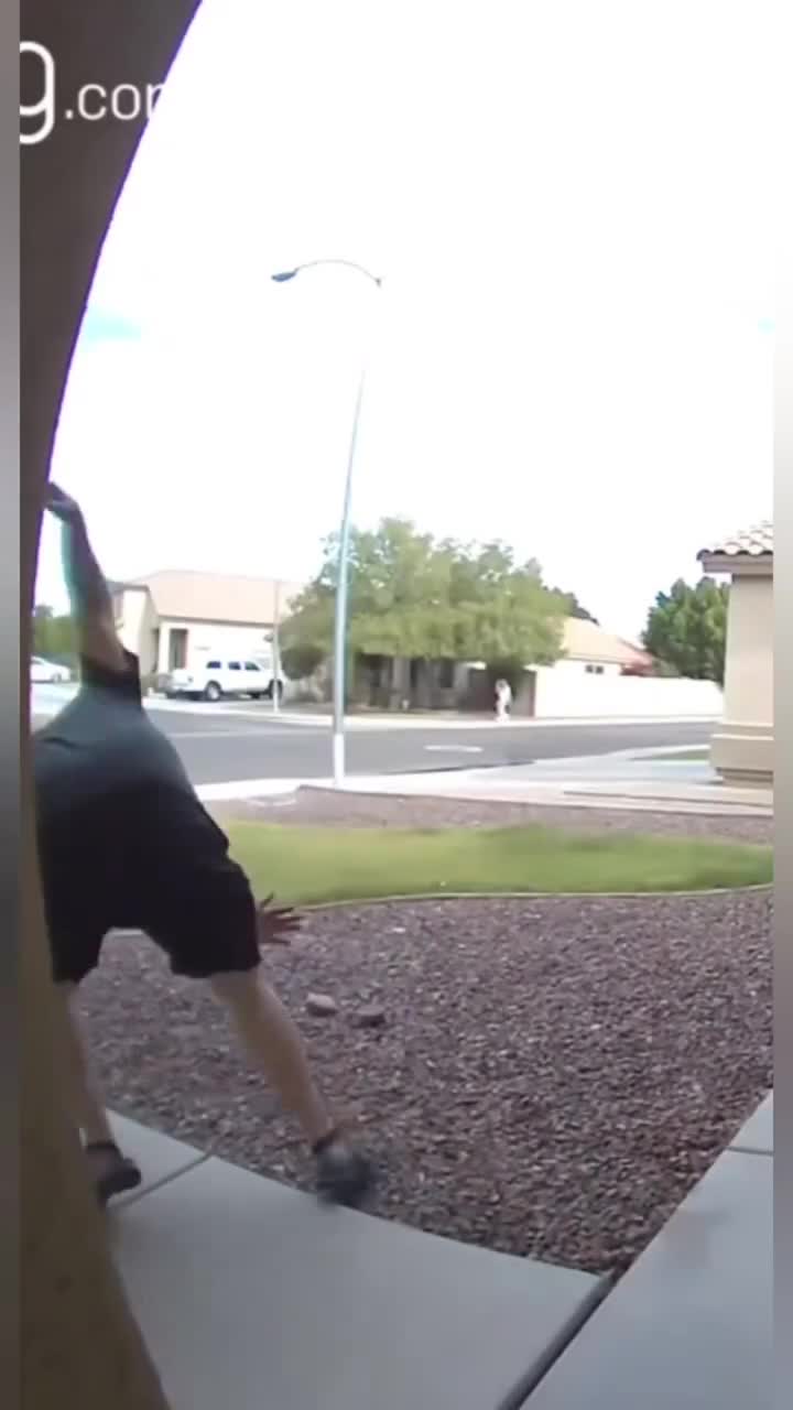 Chute-Gamelle-Gadin-Dégringoler-S'étaler-Se casser la figure... La compil' SPECIAL ATTENTION A LA MARCHE !