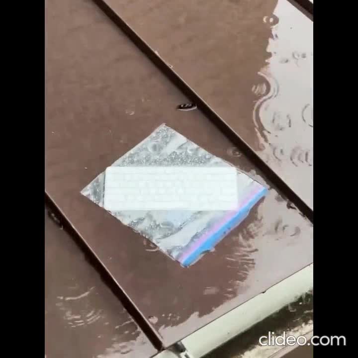 Absurde: Contraire à la raison, au bon sens, à la logique ou au sens commun #2