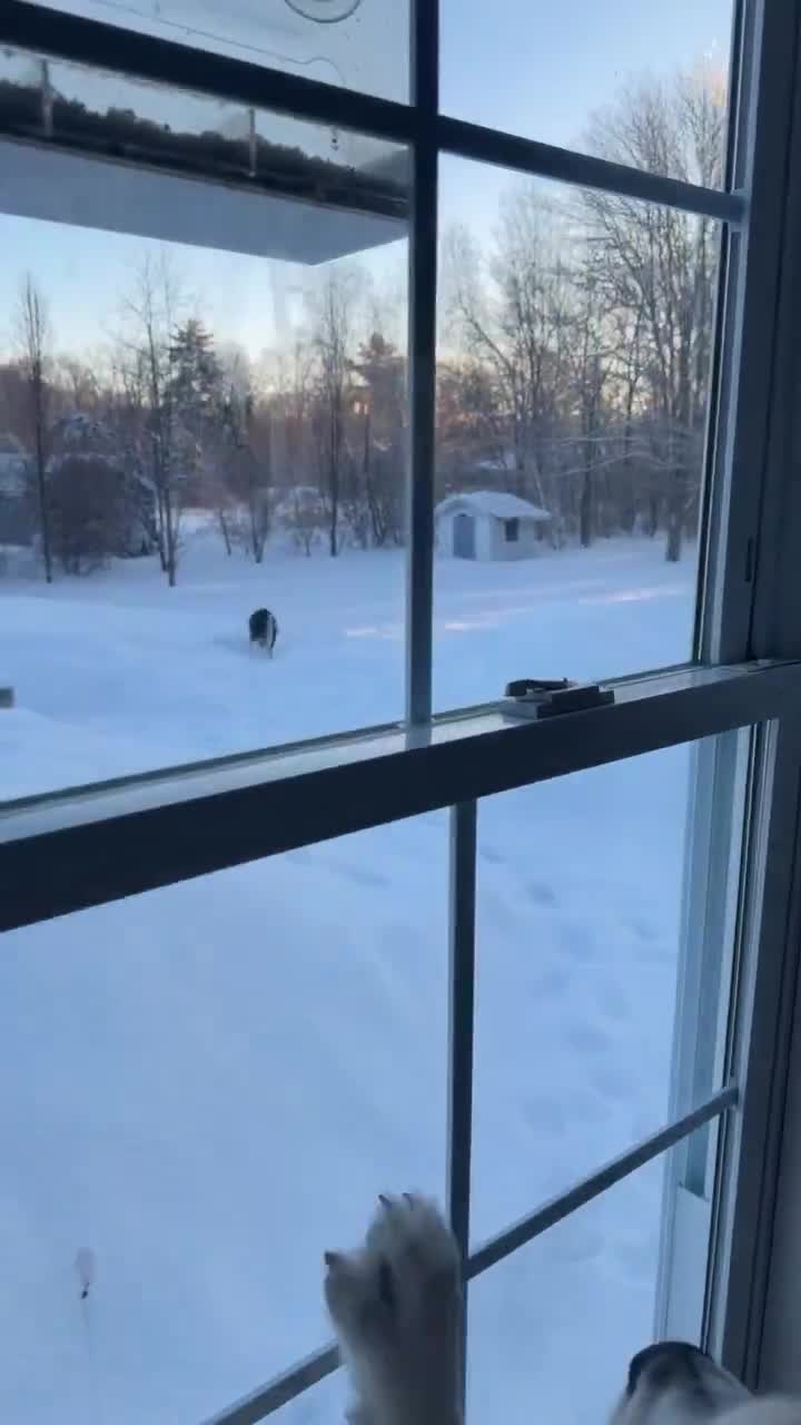 Maman, maman, maman, je peux aller jouer dans la neige avec mon copain ?