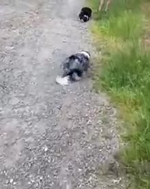 Quand ton meilleur pote déboule