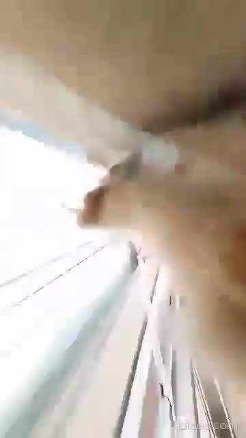 Découvrir que son chat est une putain de menace pour la société