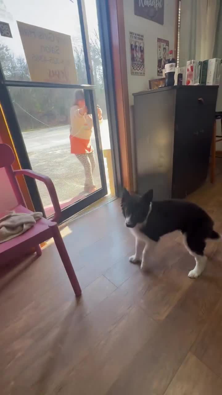 Quand ta meilleure amie passe te souhaiter Bonjour.