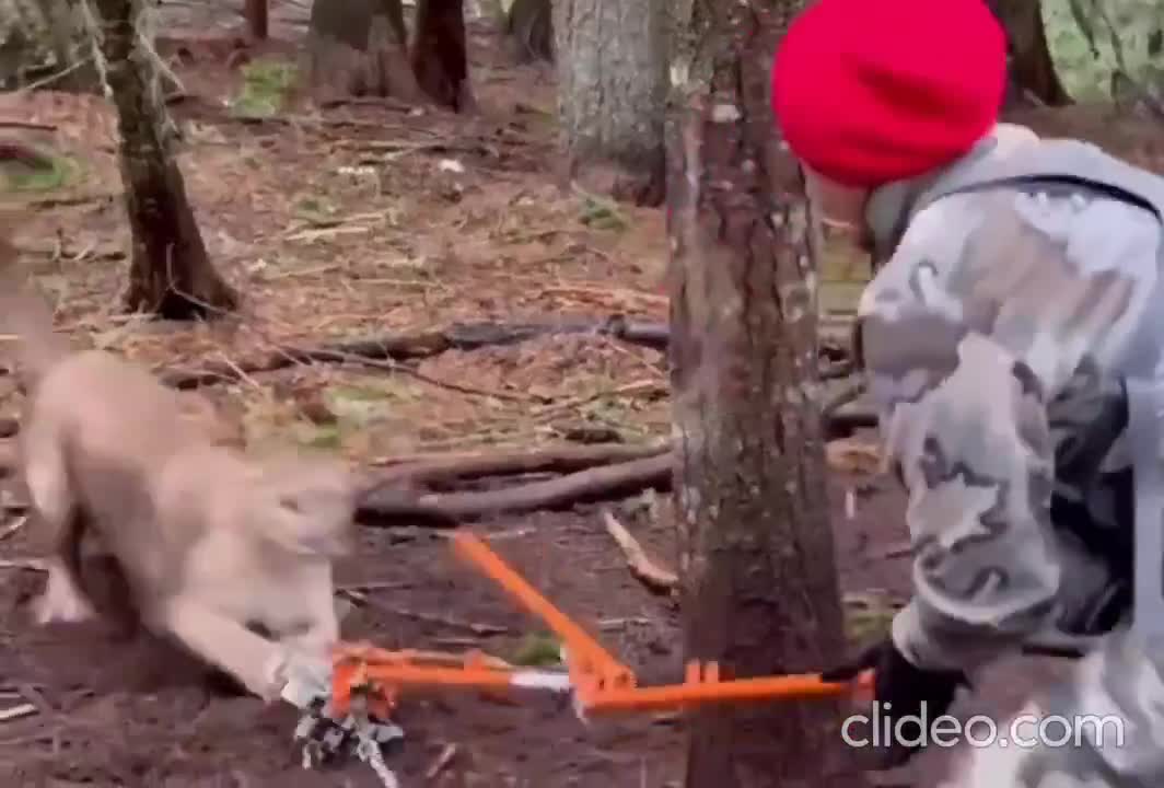 Mais qu'est ce qu'ils foutent là bande d'abrutis ?!