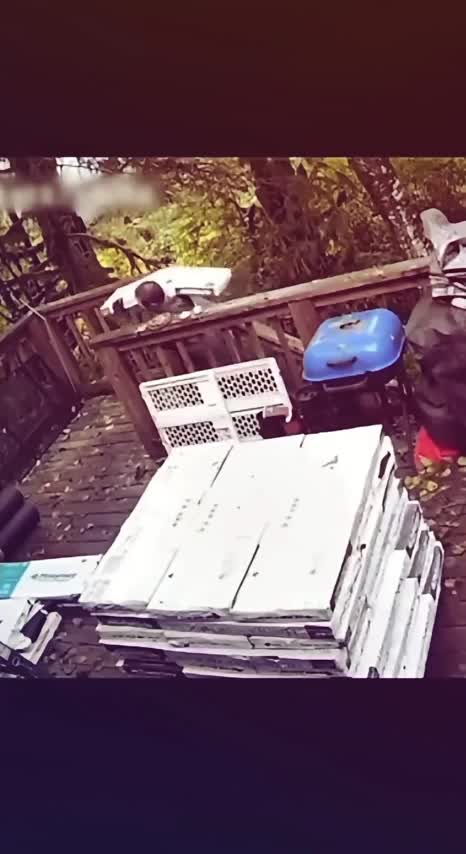 Enfin... après celle là, finie la journée de travail!