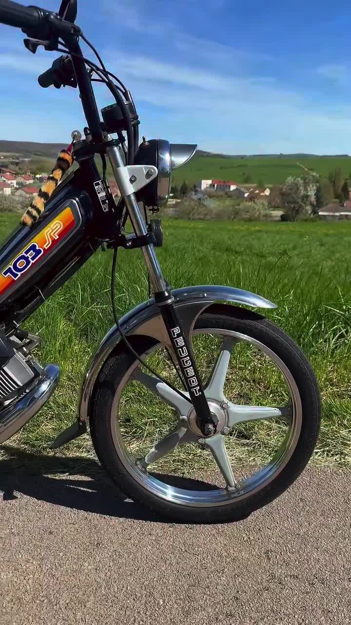 Le seul, l'unique, le vrai