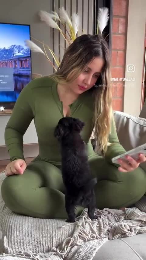 Brave chien !